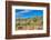 Blooming Desert-Anton Foltin-Framed Photographic Print