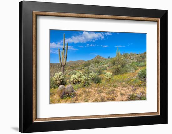 Blooming Desert-Anton Foltin-Framed Photographic Print