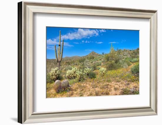 Blooming Desert-Anton Foltin-Framed Photographic Print