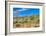 Blooming Desert-Anton Foltin-Framed Photographic Print