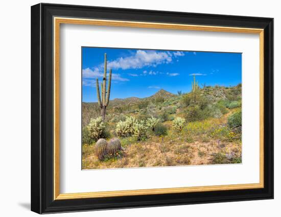 Blooming Desert-Anton Foltin-Framed Photographic Print