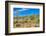 Blooming Desert-Anton Foltin-Framed Photographic Print