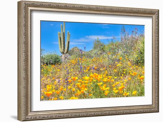 Blooming Desert-Anton Foltin-Framed Photographic Print