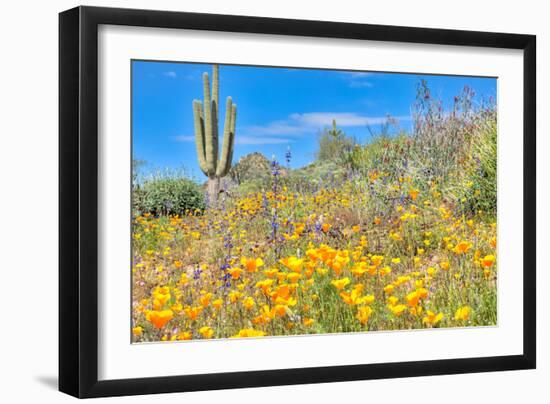 Blooming Desert-Anton Foltin-Framed Photographic Print