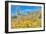 Blooming Desert-Anton Foltin-Framed Photographic Print