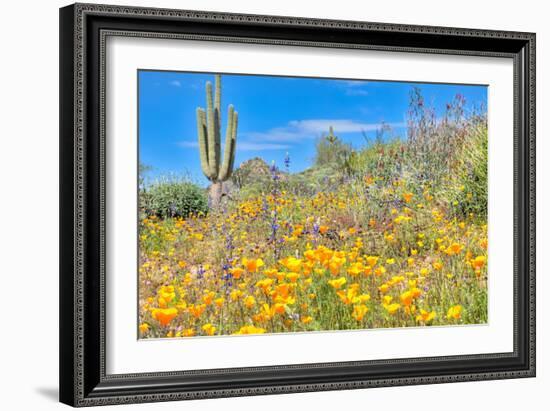 Blooming Desert-Anton Foltin-Framed Photographic Print