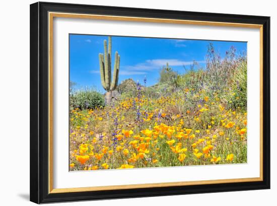 Blooming Desert-Anton Foltin-Framed Photographic Print