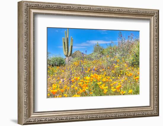 Blooming Desert-Anton Foltin-Framed Photographic Print