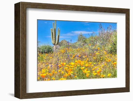 Blooming Desert-Anton Foltin-Framed Photographic Print