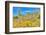 Blooming Desert-Anton Foltin-Framed Photographic Print