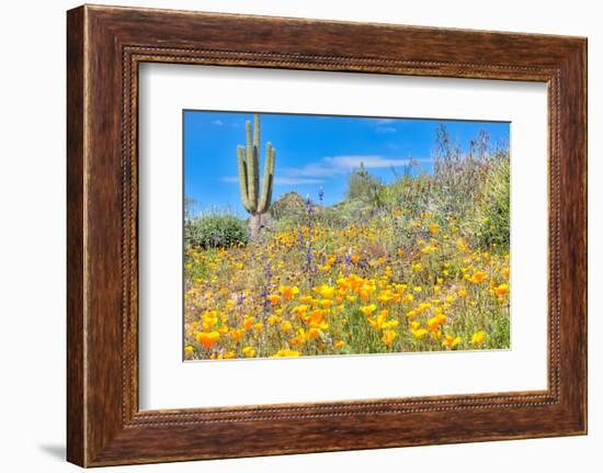 Blooming Desert-Anton Foltin-Framed Photographic Print