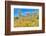 Blooming Desert-Anton Foltin-Framed Photographic Print