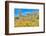 Blooming Desert-Anton Foltin-Framed Photographic Print