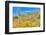 Blooming Desert-Anton Foltin-Framed Photographic Print