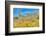 Blooming Desert-Anton Foltin-Framed Photographic Print