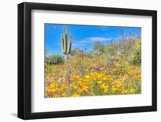 Blooming Desert-Anton Foltin-Framed Photographic Print