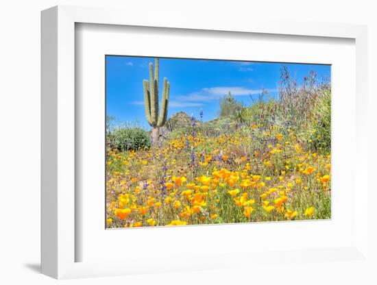 Blooming Desert-Anton Foltin-Framed Photographic Print