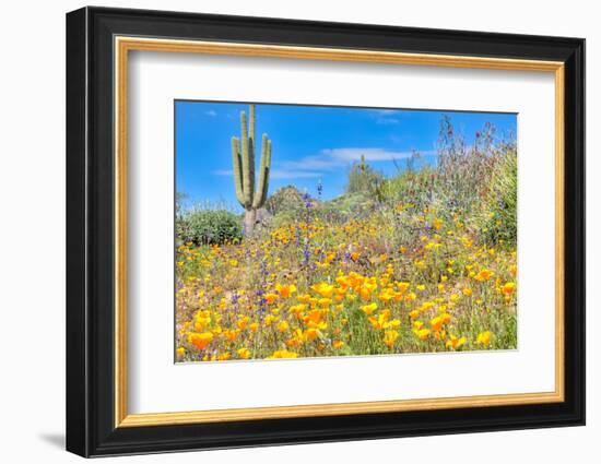 Blooming Desert-Anton Foltin-Framed Photographic Print