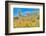 Blooming Desert-Anton Foltin-Framed Photographic Print