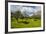 Blooming Field with Olive Trees, Crete, Greek Islands, Greece, Europe-Michael Runkel-Framed Photographic Print