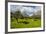 Blooming Field with Olive Trees, Crete, Greek Islands, Greece, Europe-Michael Runkel-Framed Photographic Print