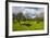 Blooming Field with Olive Trees, Crete, Greek Islands, Greece, Europe-Michael Runkel-Framed Photographic Print