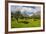 Blooming Field with Olive Trees, Crete, Greek Islands, Greece, Europe-Michael Runkel-Framed Photographic Print