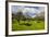 Blooming Field with Olive Trees, Crete, Greek Islands, Greece, Europe-Michael Runkel-Framed Photographic Print