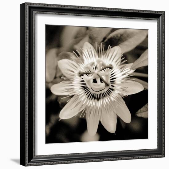 Blooming Flowers 5664-Rica Belna-Framed Giclee Print