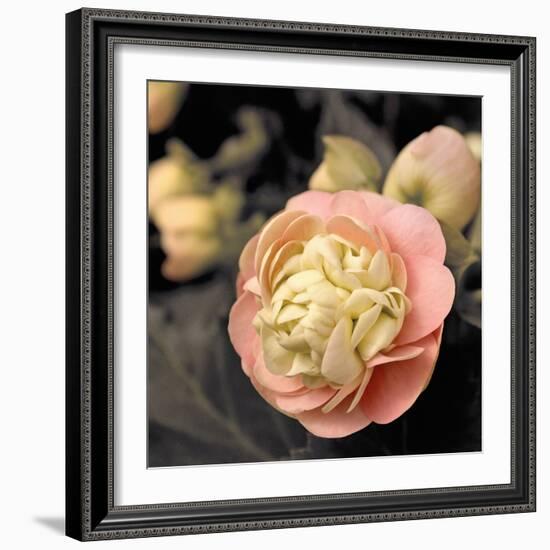 Blooming Flowers 5669-Rica Belna-Framed Giclee Print