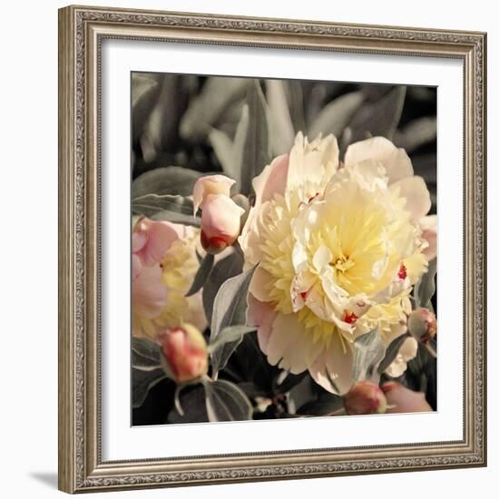 Blooming Flowers 5670-Rica Belna-Framed Giclee Print