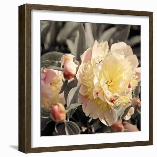 Blooming Flowers 5670-Rica Belna-Framed Giclee Print