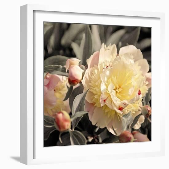 Blooming Flowers 5670-Rica Belna-Framed Giclee Print