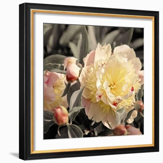 Blooming Flowers 5670-Rica Belna-Framed Giclee Print