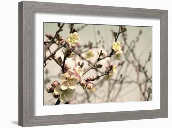 Blooming Flowers 5742-Rica Belna-Framed Giclee Print