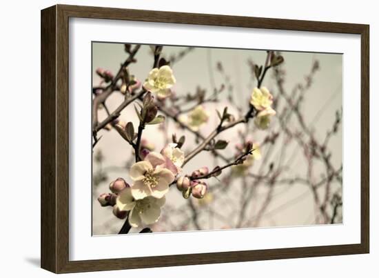 Blooming Flowers 5742-Rica Belna-Framed Giclee Print