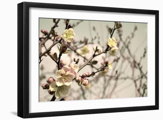 Blooming Flowers 5742-Rica Belna-Framed Giclee Print