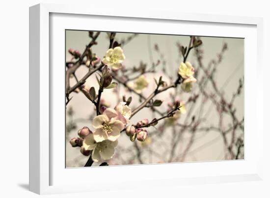 Blooming Flowers 5742-Rica Belna-Framed Giclee Print