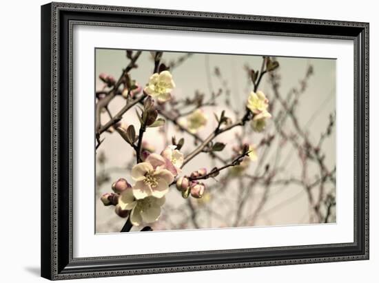 Blooming Flowers 5742-Rica Belna-Framed Giclee Print