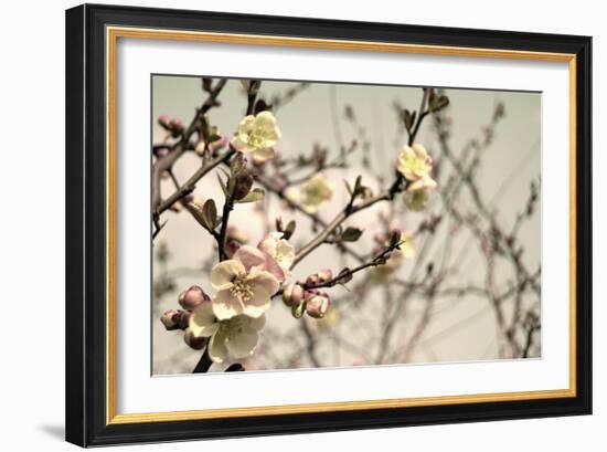 Blooming Flowers 5742-Rica Belna-Framed Giclee Print