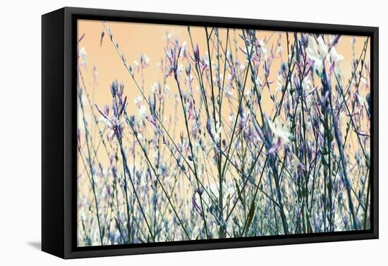 Blooming Flowers 5761-Rica Belna-Framed Premier Image Canvas
