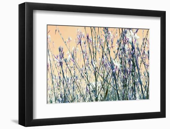 Blooming Flowers 5761-Rica Belna-Framed Photographic Print