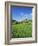 Blooming Fruit Trees on a Flower Meadow-Markus Lange-Framed Photographic Print