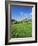 Blooming Fruit Trees on a Flower Meadow-Markus Lange-Framed Photographic Print