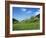 Blooming Fruit Trees on a Flower Meadow-Markus Lange-Framed Photographic Print