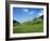 Blooming Fruit Trees on a Flower Meadow-Markus Lange-Framed Photographic Print