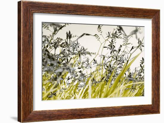 Blooming Grass 4477-Rica Belna-Framed Giclee Print