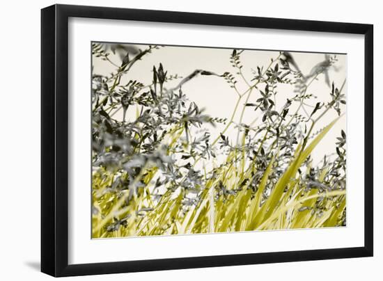 Blooming Grass 4477-Rica Belna-Framed Giclee Print