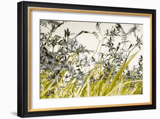 Blooming Grass 4477-Rica Belna-Framed Giclee Print