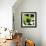 Blooming Green-Herb Dickinson-Framed Photographic Print displayed on a wall